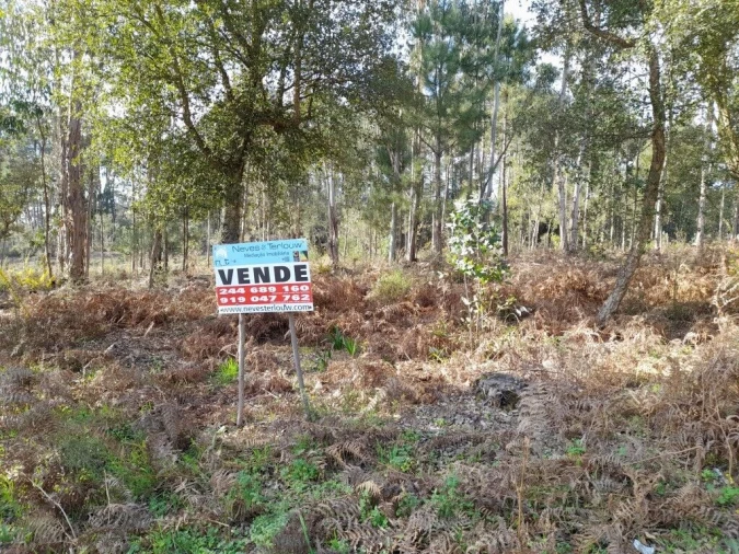 Terreno para Venda em Souto da Carpalhosa e Ortigosa