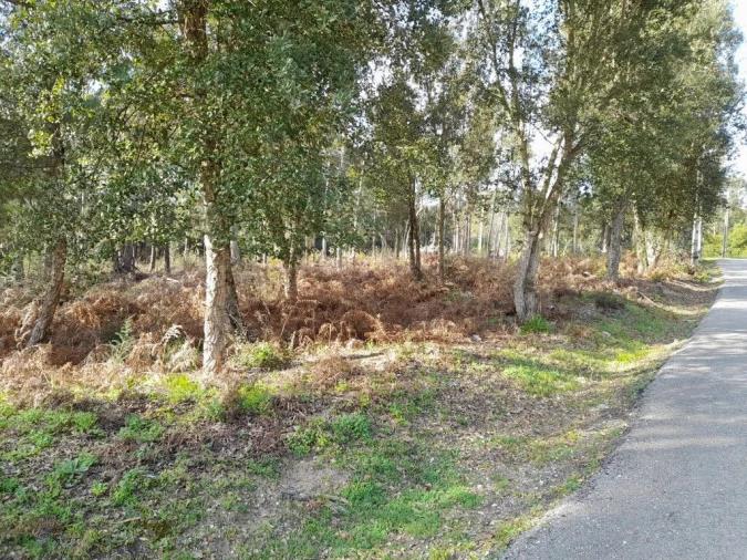 Terreno para Venda em Souto da Carpalhosa e Ortigosa Foto 4