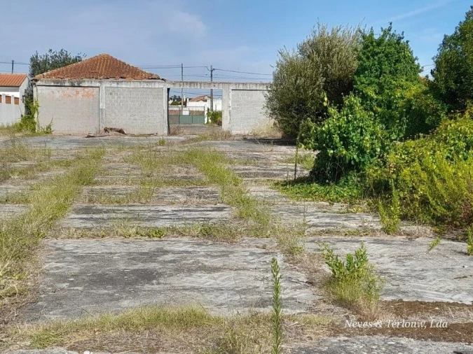 Armazém para Venda em Coimbrão Foto 12