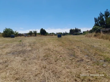 Terreno para Venda em Coimbrão