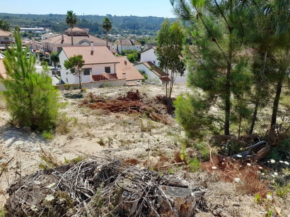Terreno para Venda em Ansião Foto 3