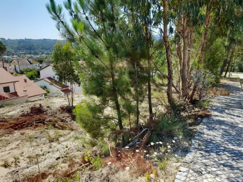 Terreno para Venda em Ansião Foto 4