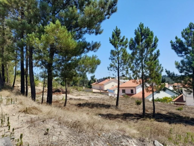 Terreno para Venda em Ansião Foto 7