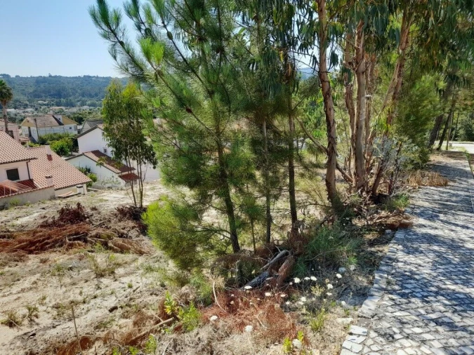 Terreno para Venda em Ansião Foto 4