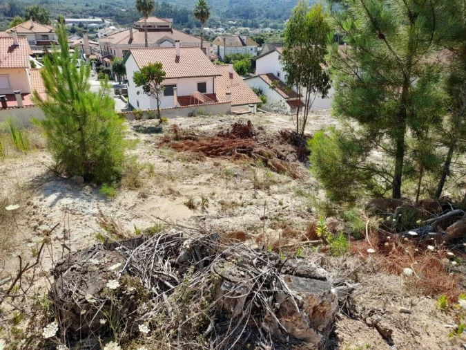 Terreno para Venda em Ansião Foto 5
