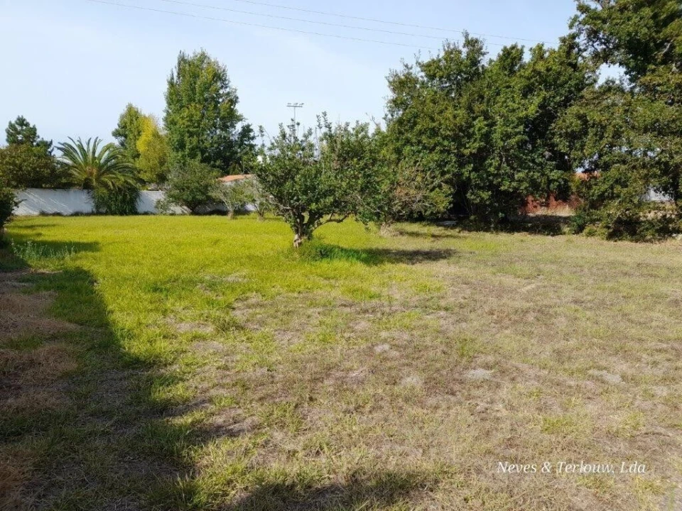 Terreno para Venda em Coimbrão Foto 5