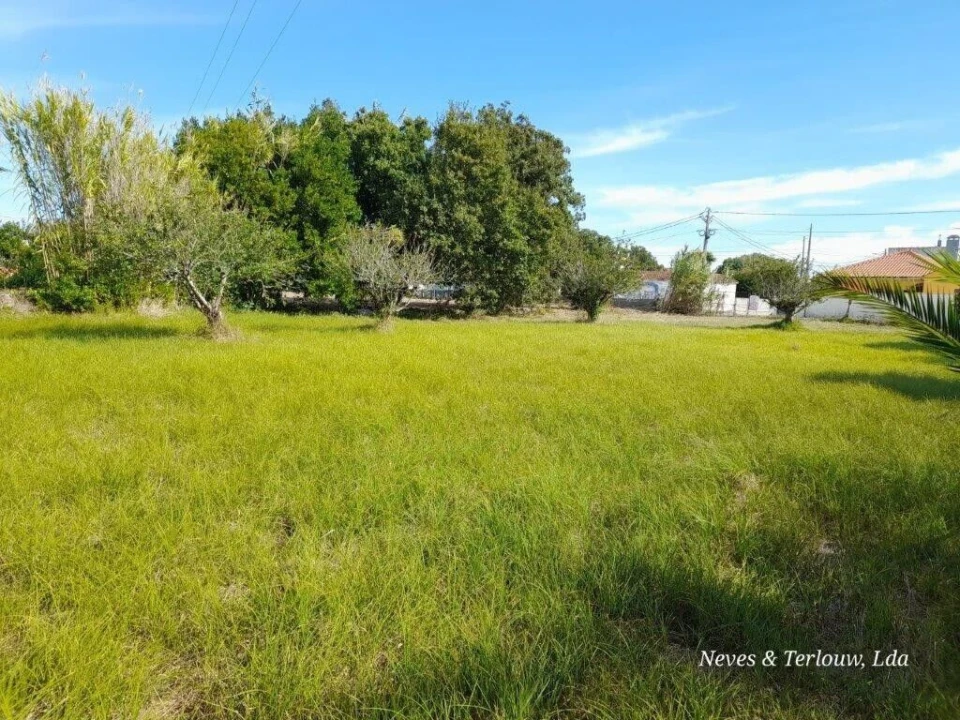 Terreno para Venda em Coimbrão Foto 6