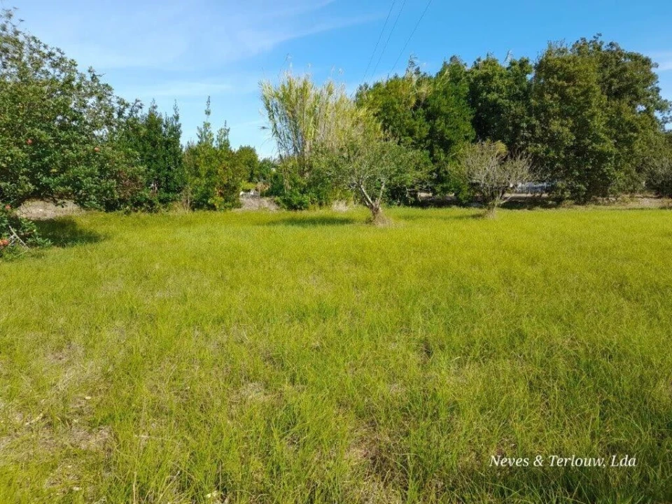 Terreno para Venda em Coimbrão Foto 7