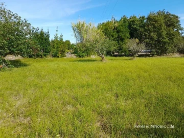 Terreno para Venda em Coimbrão