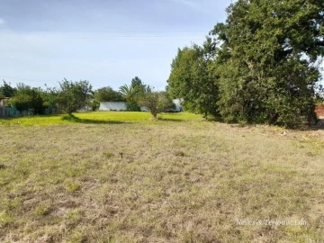 Terreno para Venda em Coimbrão