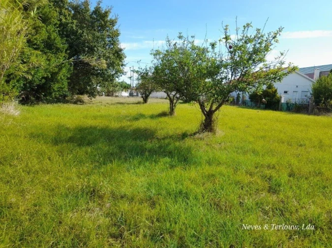 Terreno para Venda em Coimbrão Foto 8