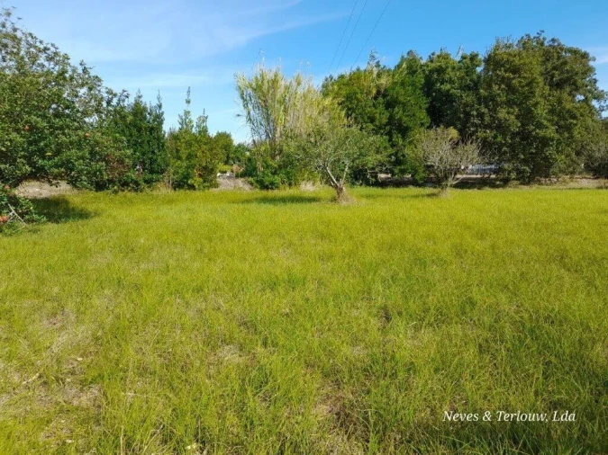 Terreno para Venda em Coimbrão Foto 7