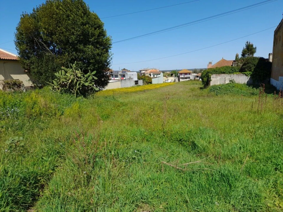 Terreno para Venda em Monte Real e Carvide Foto 3
