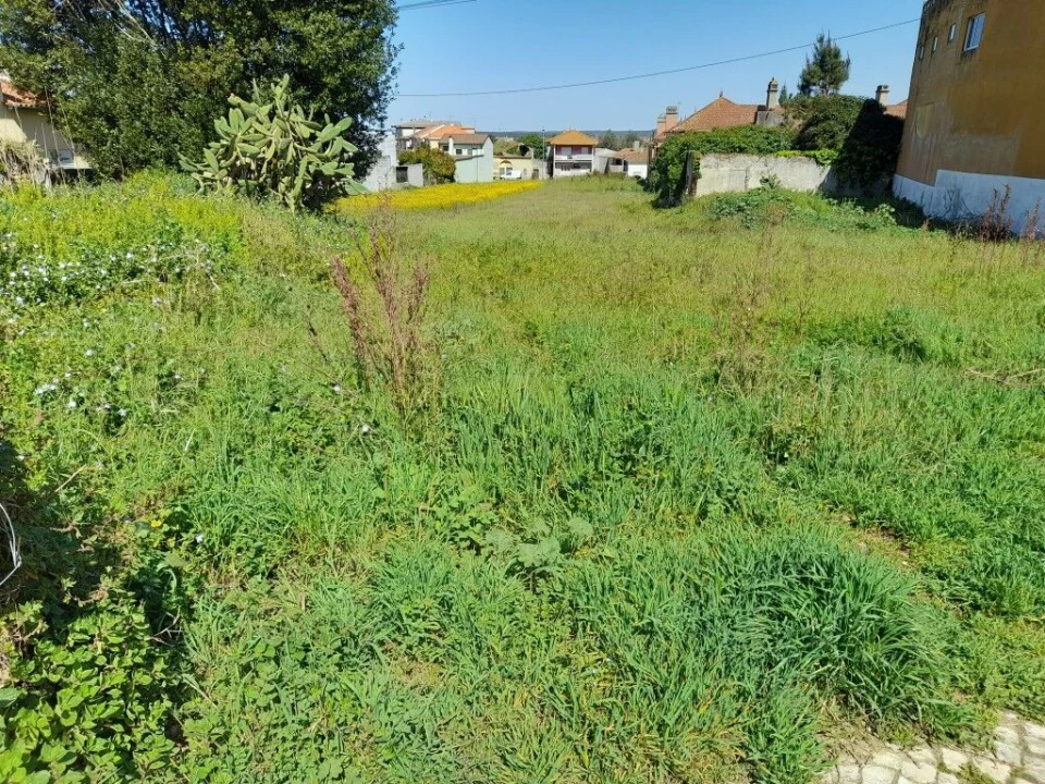 Terreno para Venda em Monte Real e Carvide Foto 5