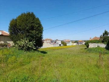 Terreno para Venda em Monte Real e Carvide
