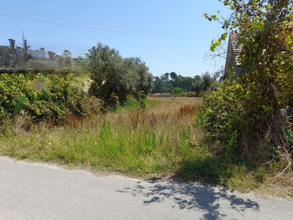 Terreno para Venda em Guia, Ilha e Mata Mourisca Foto 5