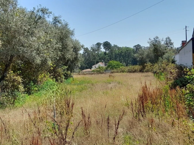 Terreno para Venda em Guia, Ilha e Mata Mourisca Foto 4