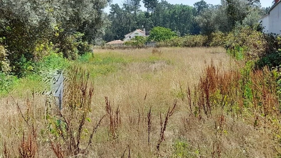 Terreno para Venda em Guia, Ilha e Mata Mourisca