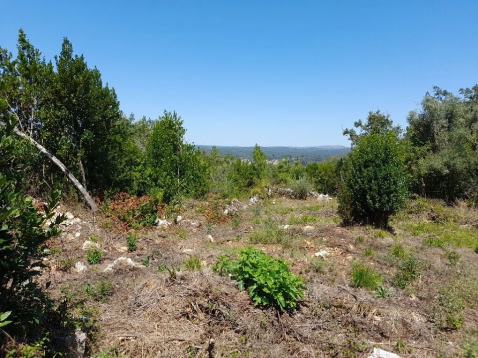 Moradia T0 para Venda em Ansião Foto 11