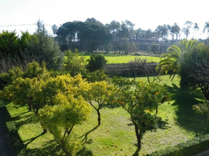 Moradia T5 para Venda em Monte Redondo e Carreira Foto 54