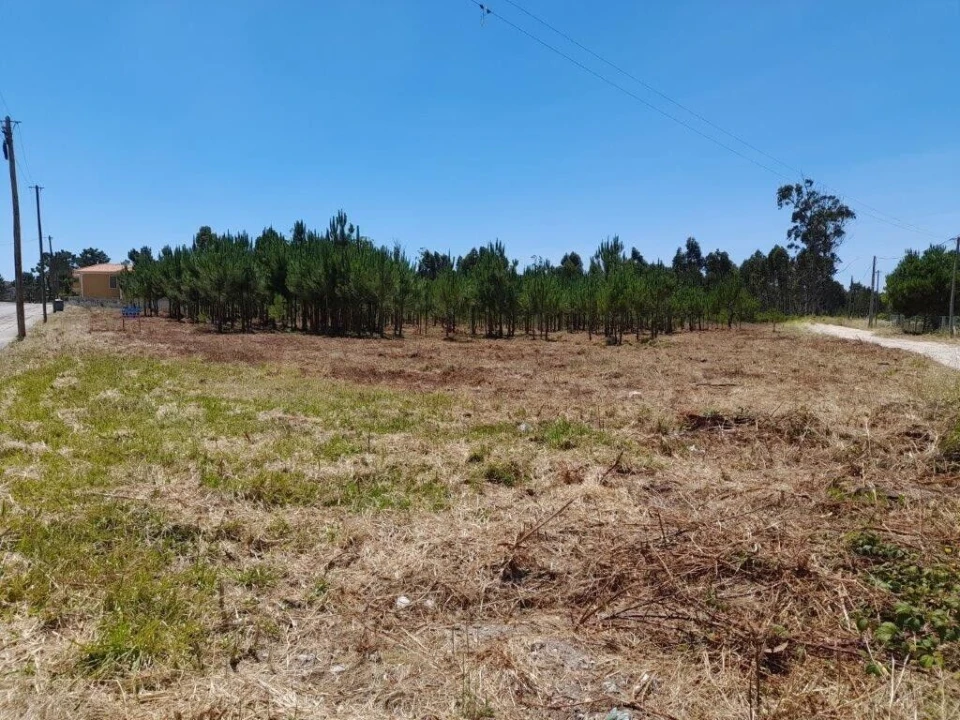 Terreno para Venda em Vieira de Leiria Foto 4