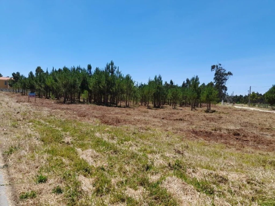 Terreno para Venda em Vieira de Leiria Foto 5
