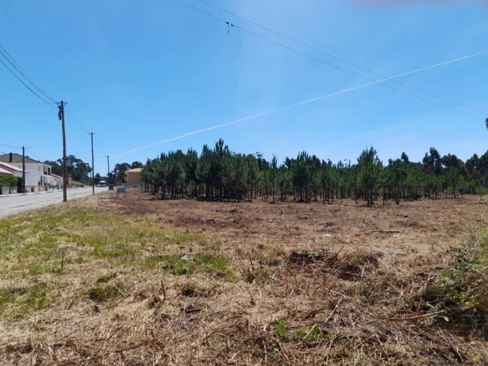 Terreno para Venda em Vieira de Leiria Foto 2