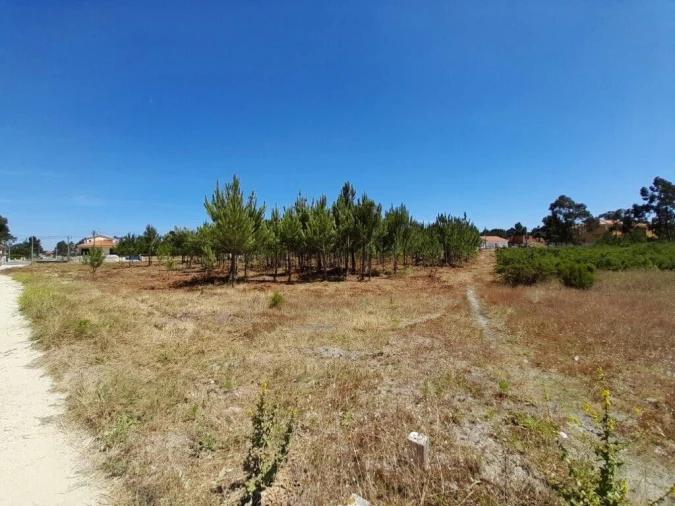 Terreno para Venda em Vieira de Leiria Foto 9