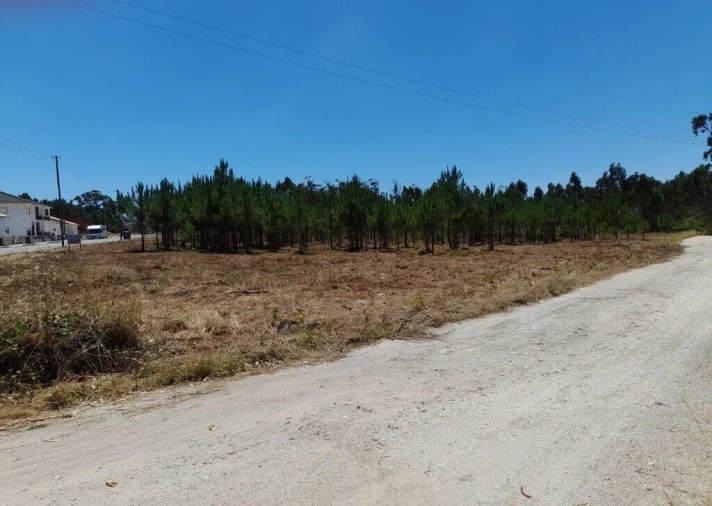 Terreno para Venda em Vieira de Leiria Foto 6