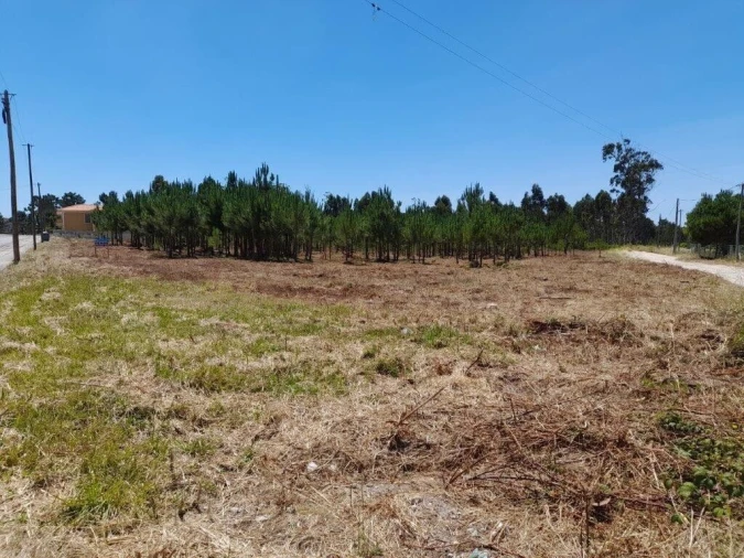 Terreno para Venda em Vieira de Leiria Foto 4