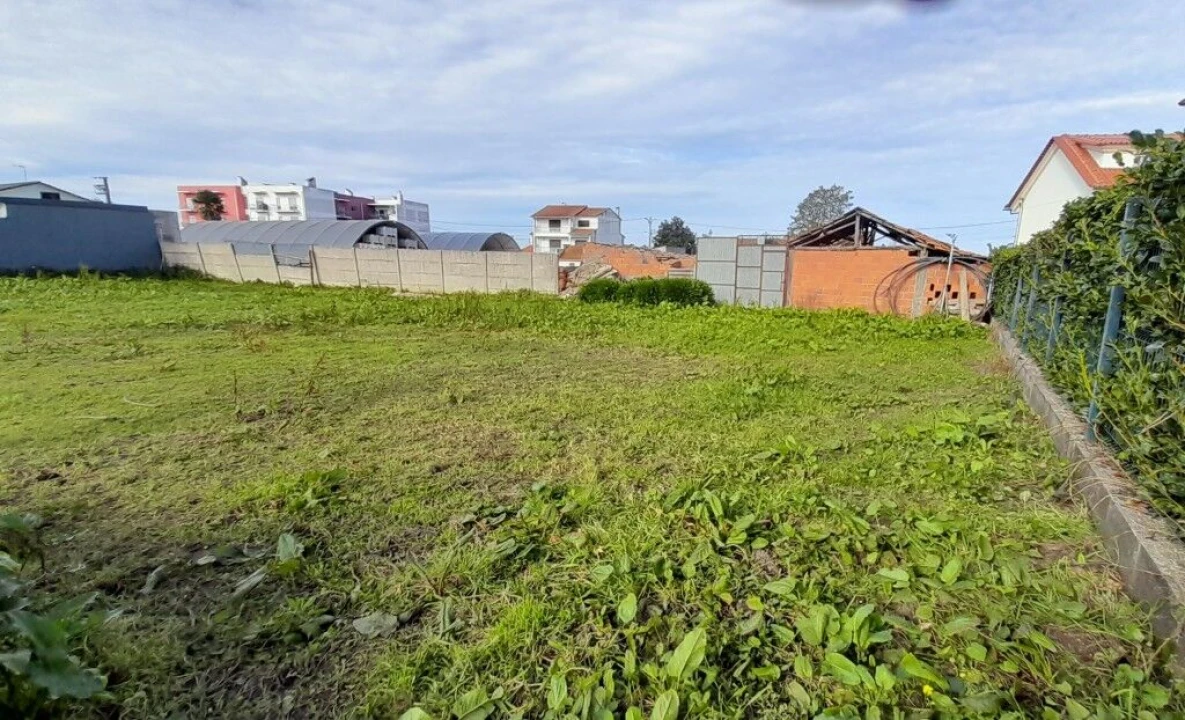Terreno para Venda em Guia, Ilha e Mata Mourisca Foto 14