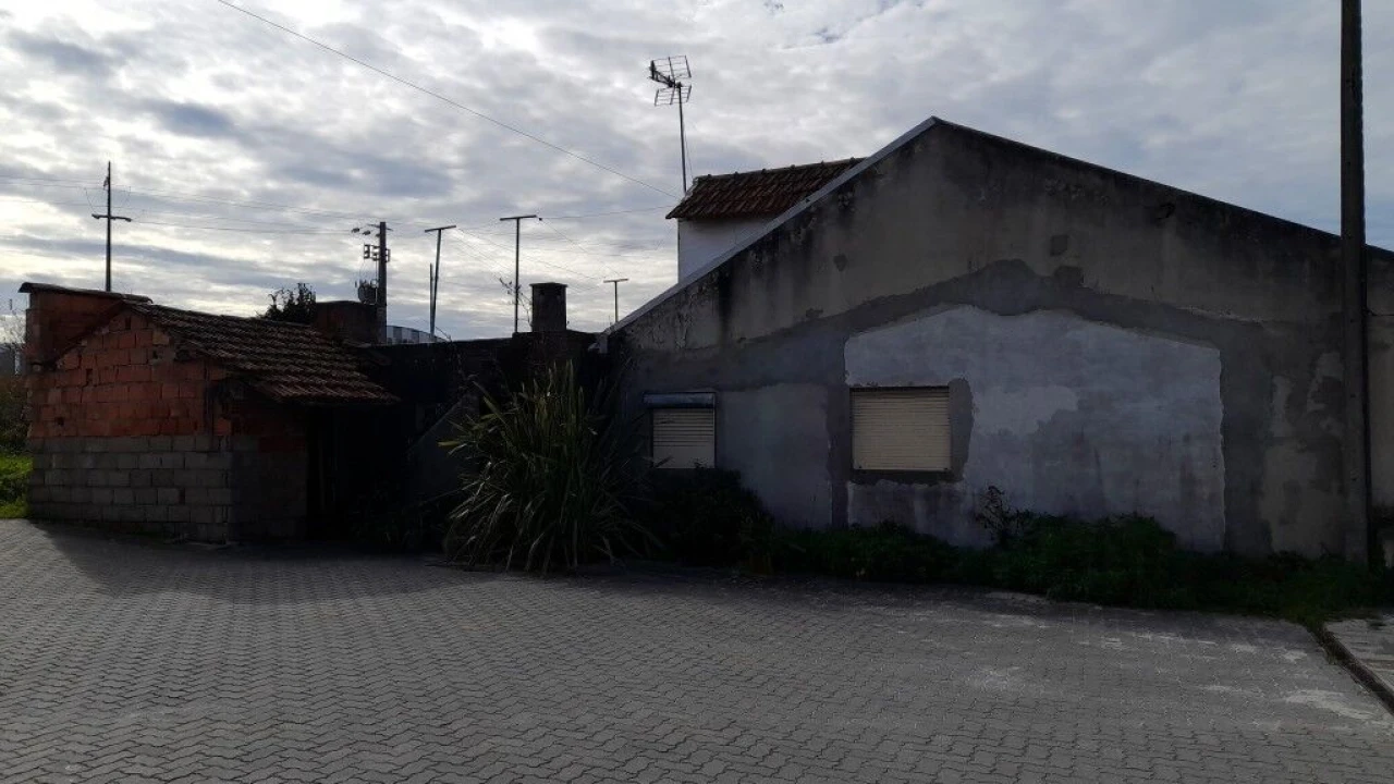 Terreno para Venda em Guia, Ilha e Mata Mourisca Foto 3