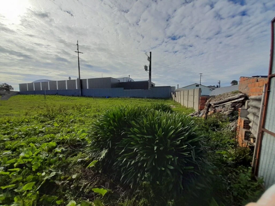 Terreno para Venda em Guia, Ilha e Mata Mourisca Foto 12