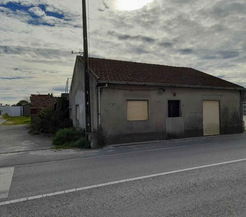 Terreno para Venda em Guia, Ilha e Mata Mourisca Foto 2