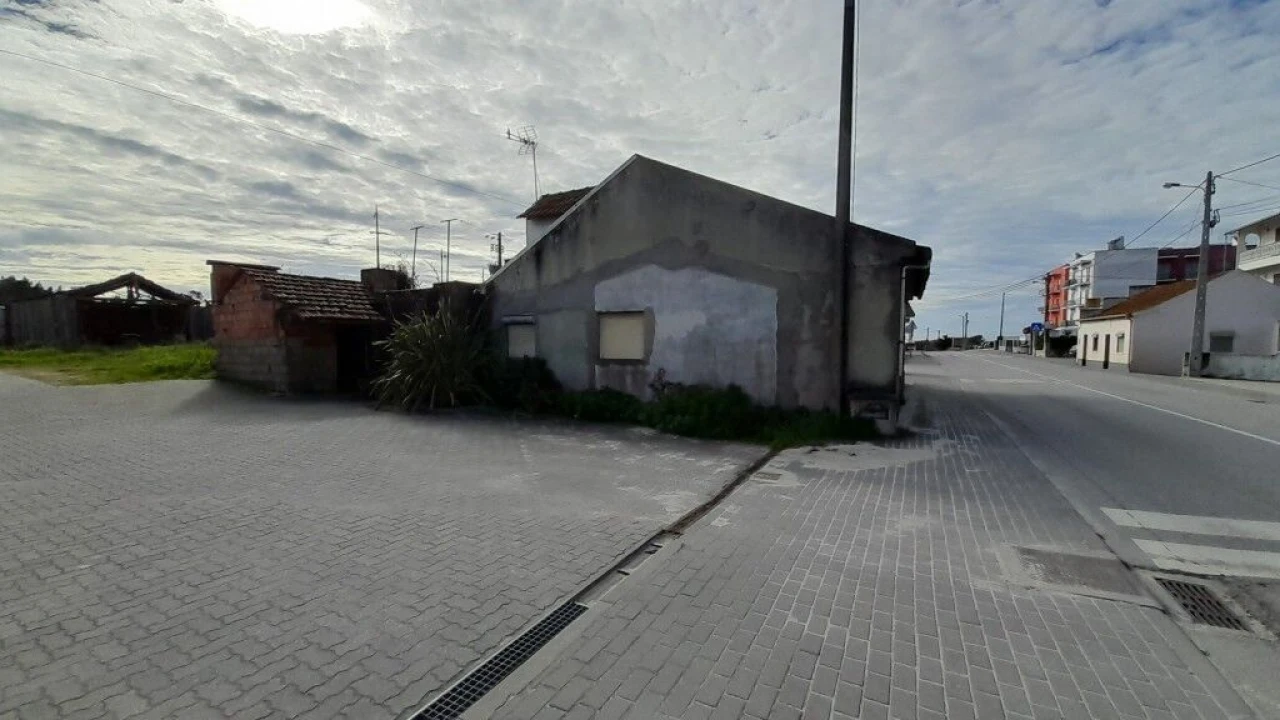 Terreno para Venda em Guia, Ilha e Mata Mourisca Foto 7