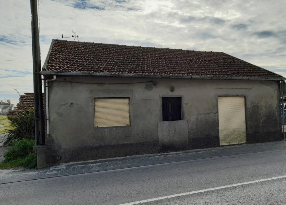 Terreno para Venda em Guia, Ilha e Mata Mourisca Foto 4