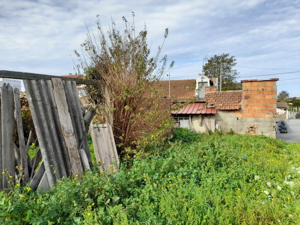 Terreno para Venda em Guia, Ilha e Mata Mourisca Foto 16