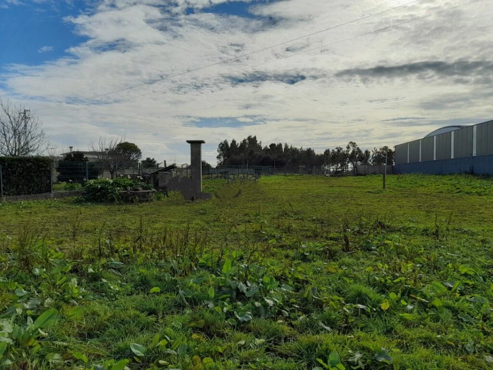 Terreno para Venda em Guia, Ilha e Mata Mourisca Foto 9