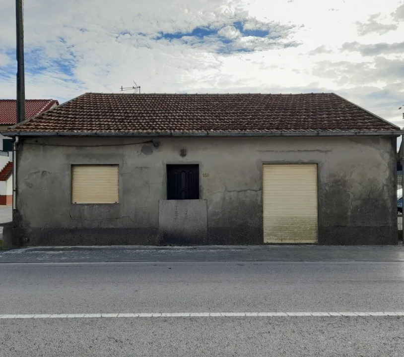 Terreno para Venda em Guia, Ilha e Mata Mourisca Foto 6