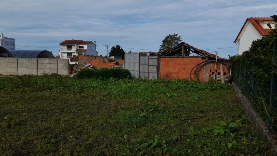 Terreno para Venda em Guia, Ilha e Mata Mourisca Foto 13
