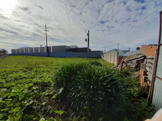 Terreno para Venda em Guia, Ilha e Mata Mourisca Foto 12