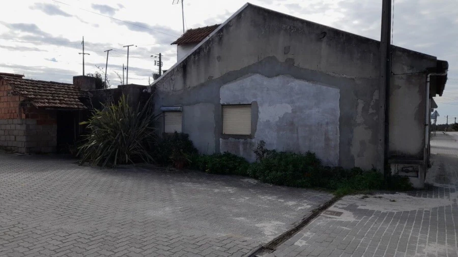 Terreno para Venda em Guia, Ilha e Mata Mourisca Foto 5