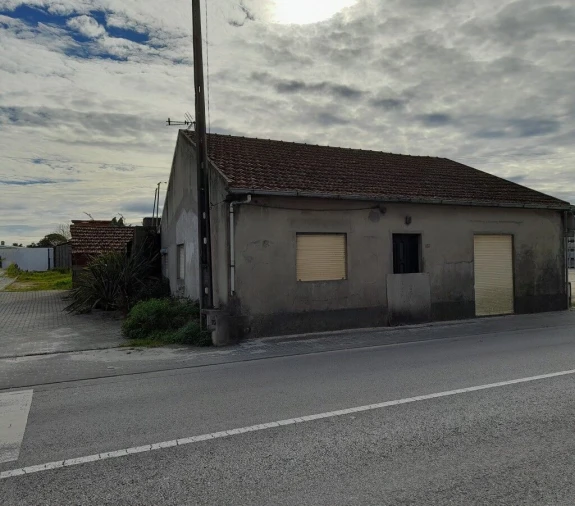 Terreno para Venda em Guia, Ilha e Mata Mourisca Foto 2