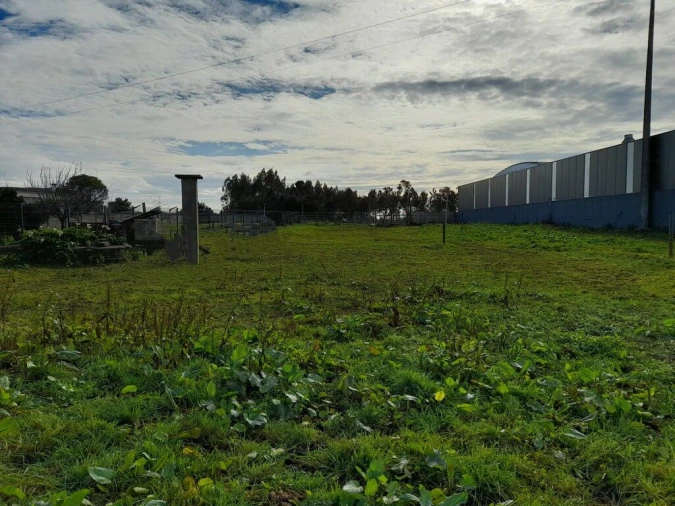 Terreno para Venda em Guia, Ilha e Mata Mourisca Foto 10