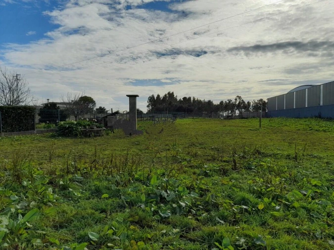 Terreno para Venda em Guia, Ilha e Mata Mourisca Foto 9