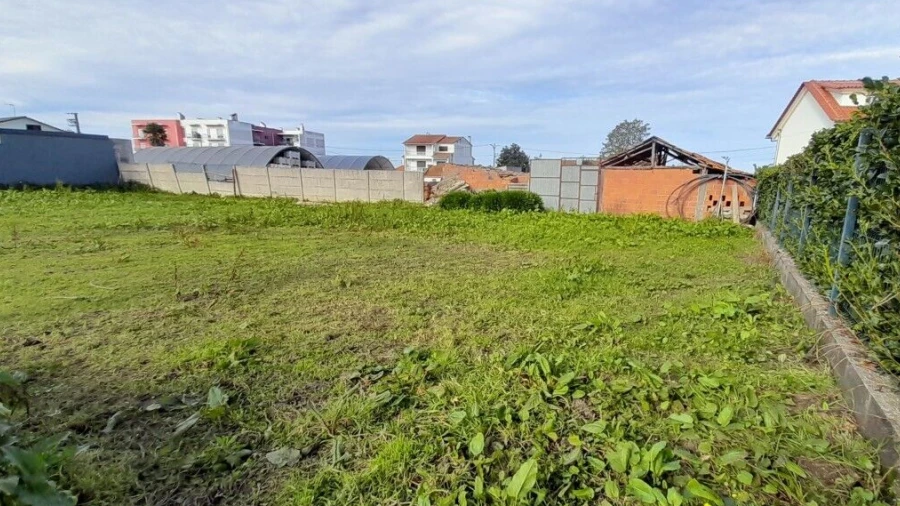 Terreno para Venda em Guia, Ilha e Mata Mourisca
