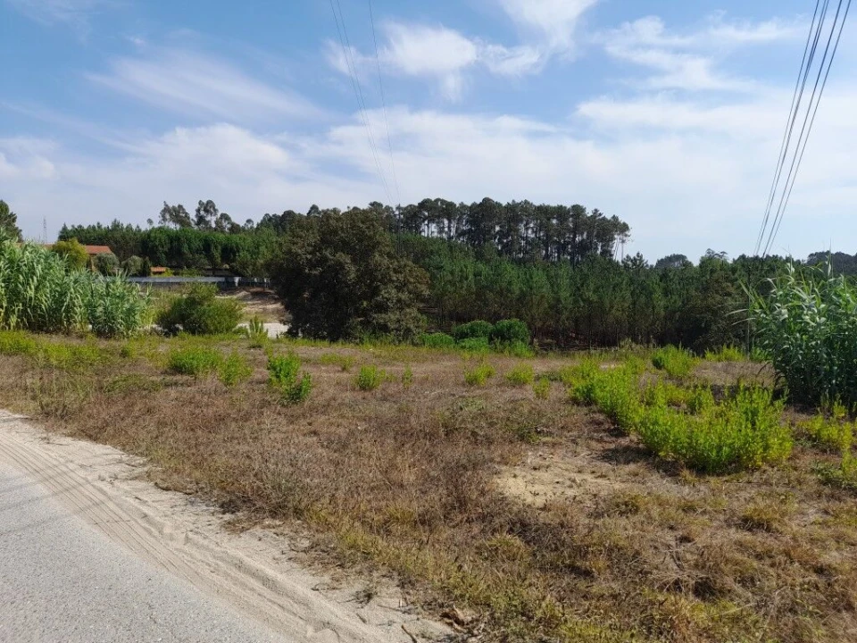 Terreno para Venda em Bidoeira de Cima Foto 1