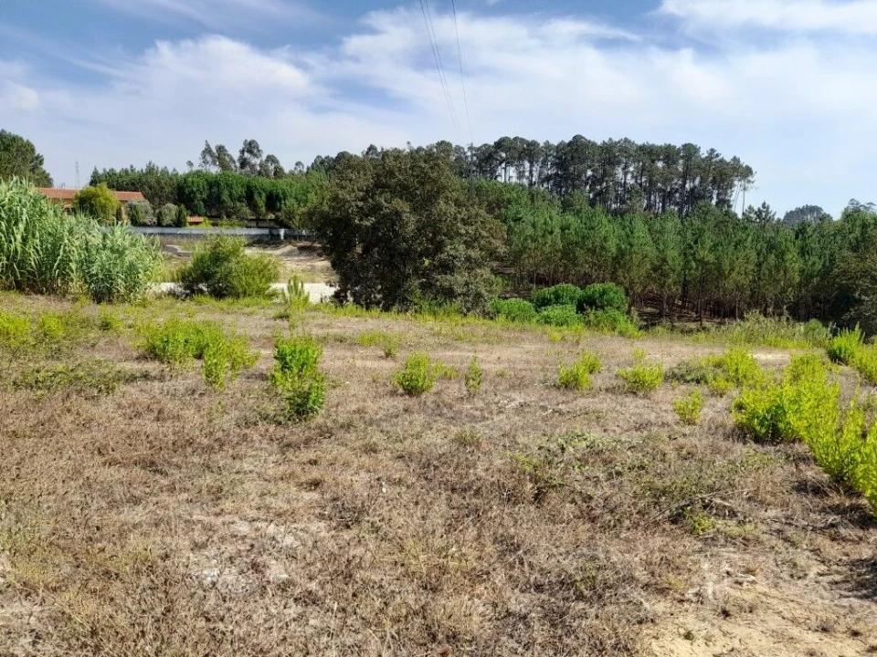 Terreno para Venda em Bidoeira de Cima Foto 6