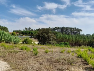 Terreno para Venda em Bidoeira de Cima