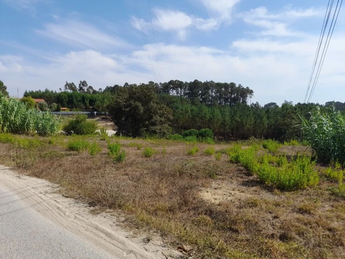 Terreno para Venda em Bidoeira de Cima Foto 2